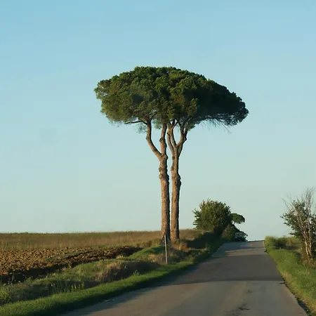 Palazzo Val Del Sasso *
