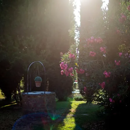 Palazzo Val Del Sasso *