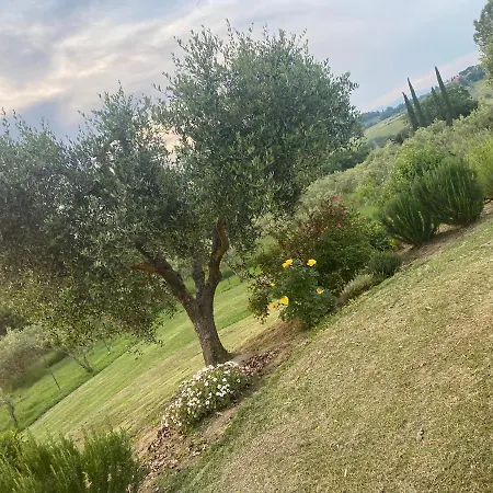 Palazzo Val Del Sasso