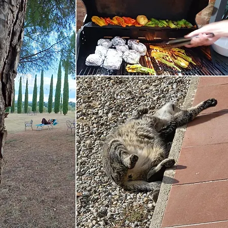 Palazzo Val Del Sasso Agroturismo *