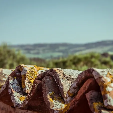 Palazzo Val Del Sasso